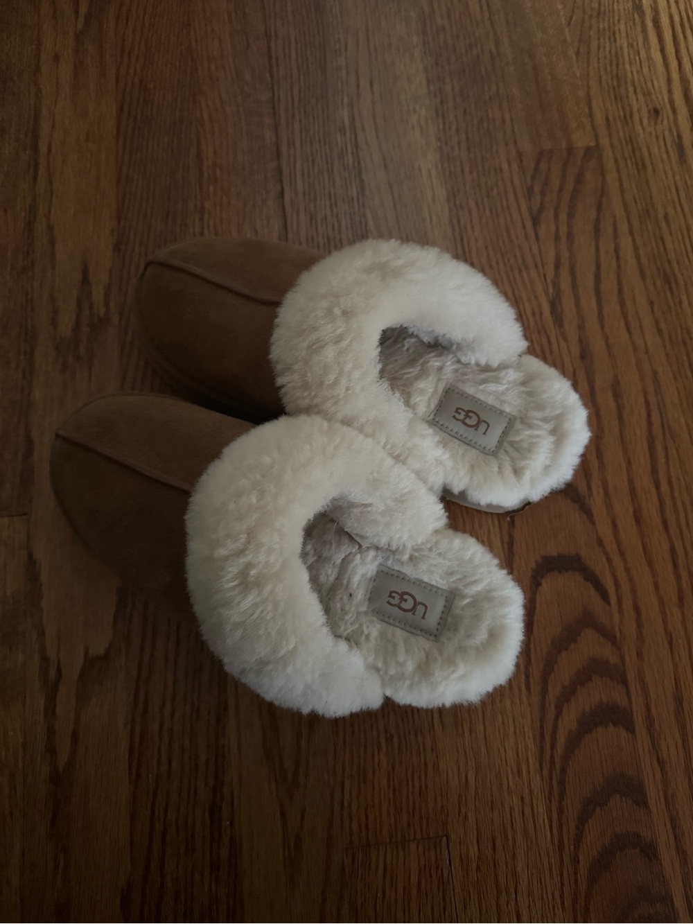 ugg slippers platform